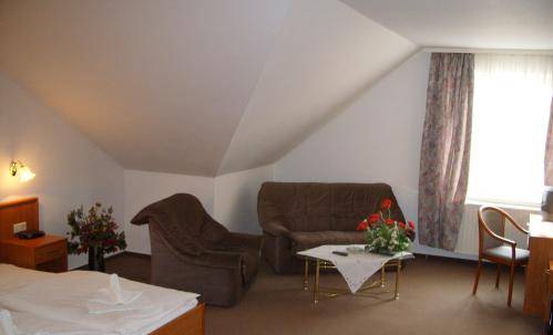 Imagen de la habitación del Hotel Sch&uuml;tzenhaus, Bad D&uuml;ben. Foto 3