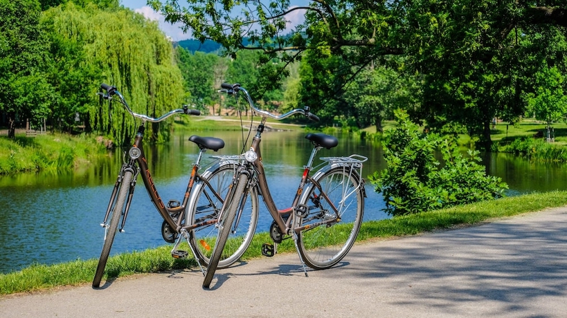 Imagen general del Hotel Schwaiger. Foto 2