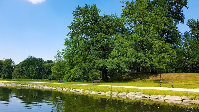 Imagen general del Hotel Schwaiger. Foto 3