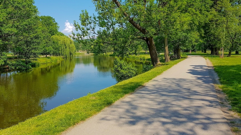 Imagen general del Hotel Schwaiger. Foto 4