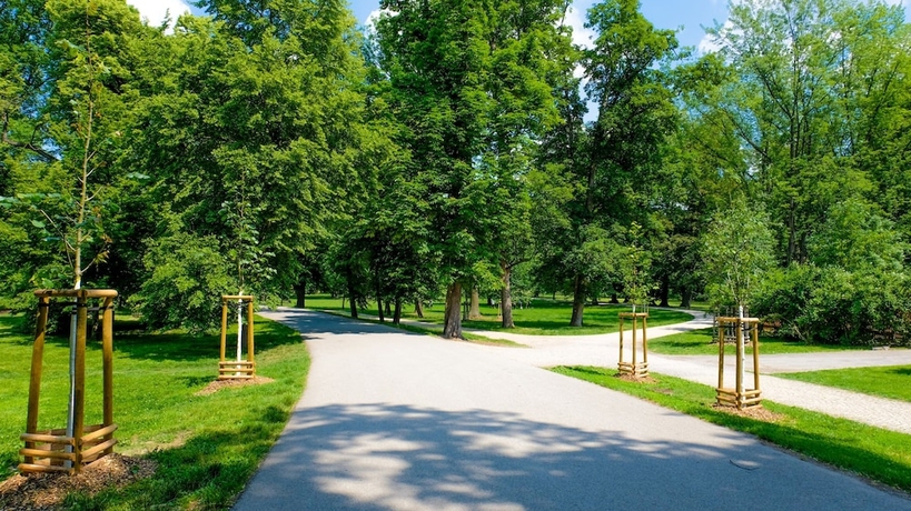 Imagen general del Hotel Schwaiger. Foto 6