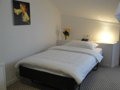 Imagen de la habitación del Hotel Schwanen. Foto 8