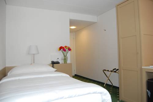 Imagen de la habitación del Hotel Schwanen. Foto 10