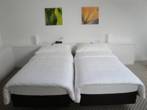 Imagen de la habitación del Hotel Schwanen. Foto 13