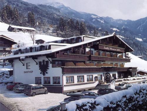 Imagen general del Hotel Schwarzer Adler, Ramsau im Zillertal. Foto 1