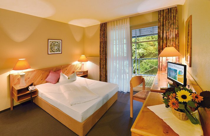 Imagen de la habitación del Hotel Schwarzwald Park. Foto 10