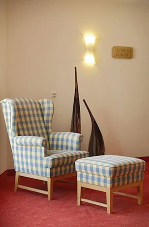 Imagen de los interiores del Hotel Schwarzwald Sonnenhof. Foto 17