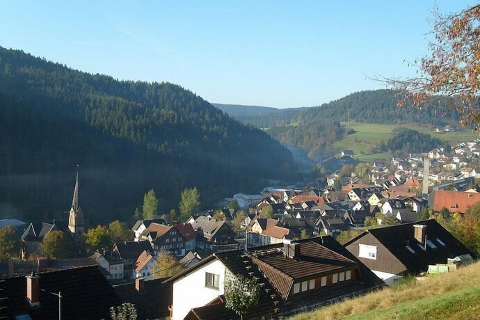 Imagen general del Hotel Schwarzwaldgasthaus Linde. Foto 10