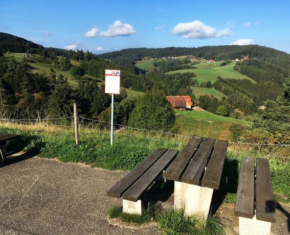 Imagen general del Hotel Schwarzwaldgasthaus Linde. Foto 11