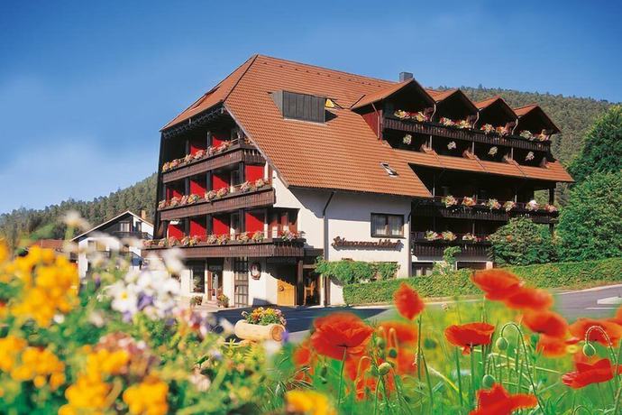 Imagen general del Hotel Schwarzwaldhof. Foto 1