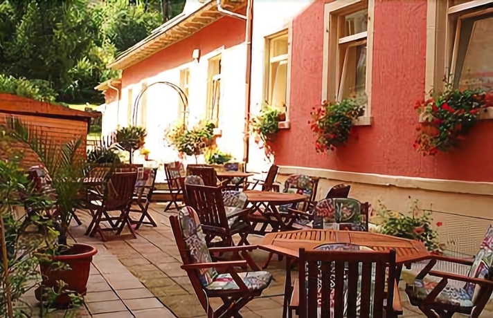 Imagen del bar/restaurante del Hotel Schweizer Hof, Baden Baden. Foto 5