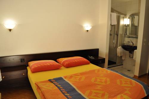 Imagen de la habitación del Hotel Schweizerhof Wetzikon. Foto 11