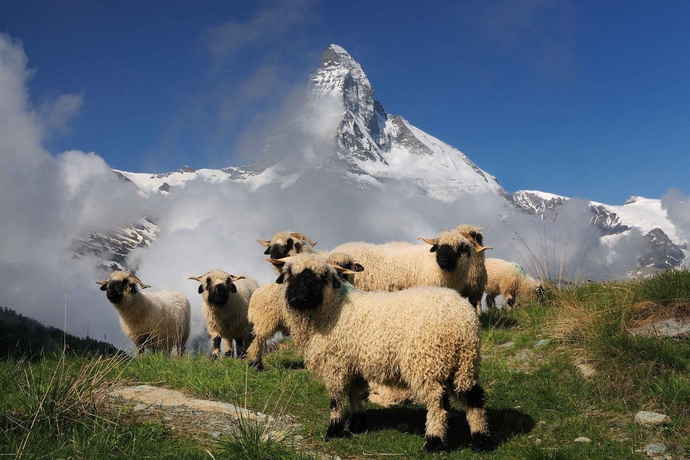 Imagen general del Hotel Schweizerhof Zermatt. Foto 5