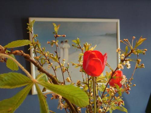 Imagen general del Hotel Schweriner Hof. Foto 2