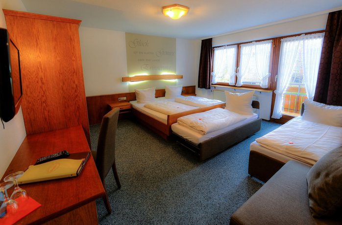 Imagen de la habitación del Hotel Schw&ouml;rer. Foto 8