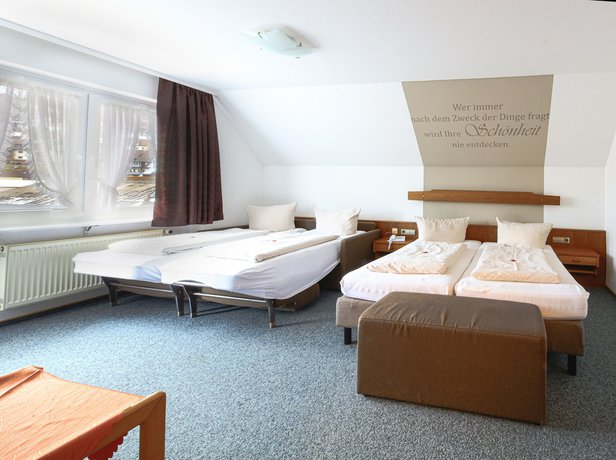 Imagen de la habitación del Hotel Schw&ouml;rer. Foto 12