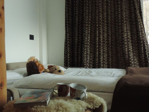 Imagen de la habitación del Hotel Scoiattolo, Tesero. Foto 10