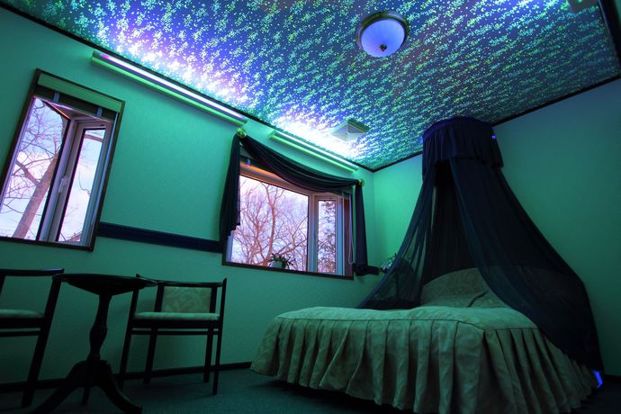 Imagen de la habitación del Hotel Scotch Court. Foto 5