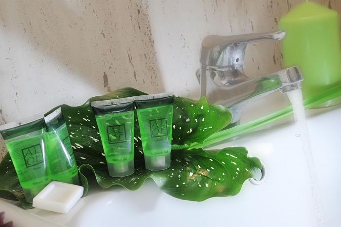 Imagen de la habitación del Hotel Scott House. Foto 5