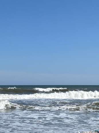 Imagen general del Hotel Scottish Inns and Suites. Foto 5