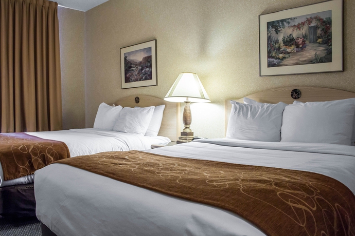 Imagen de la habitación del Hotel Scottsdale. Foto 2