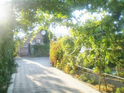 Imagen general del Hotel Sea Breeze, Dolzhanskaya. Foto 4