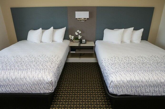 Imagen de la habitación del Hotel Sea Breeze Inn, San Simeon. Foto 20