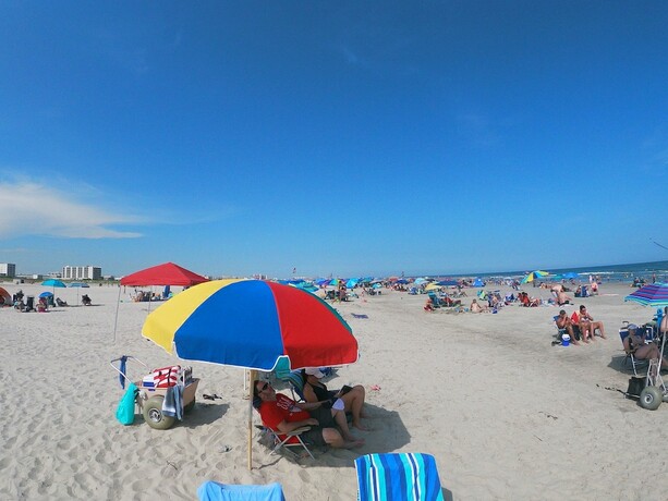 Imagen general del Hotel Sea Chest Motel. Foto 2