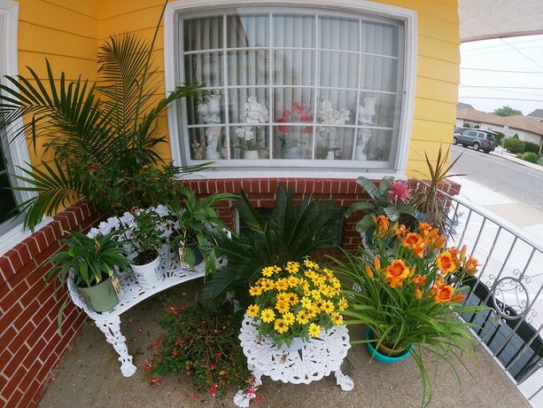 Imagen general del Hotel Sea Chest Motel. Foto 11