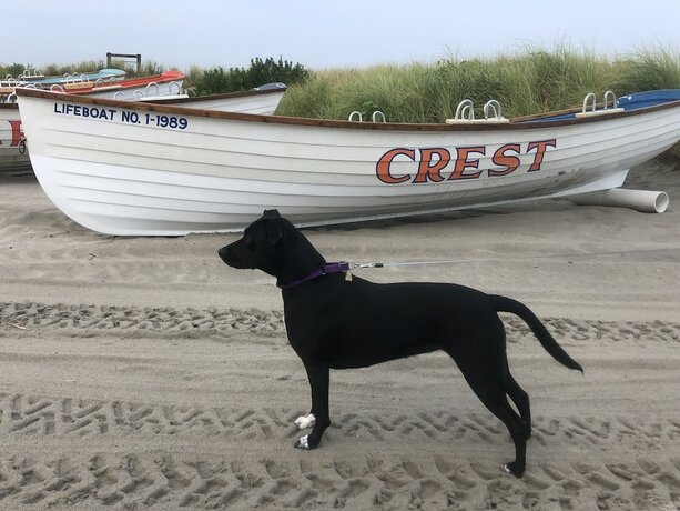 Imagen general del Hotel Sea Chest Motel. Foto 12