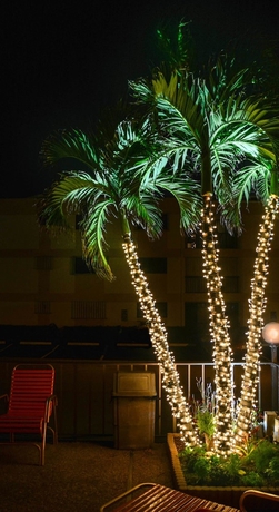 Imagen de los exteriores del Hotel Sea Cliff Motel. Foto 7