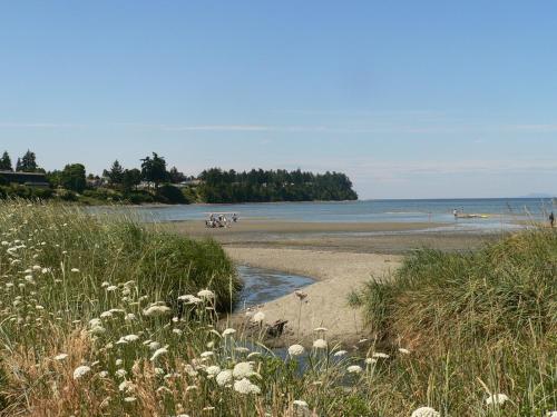 Imagen general del Hotel Sea Edge Beachside. Foto 14