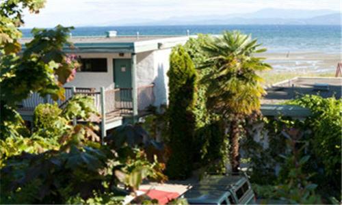 Imagen general del Hotel Sea Edge Beachside. Foto 16