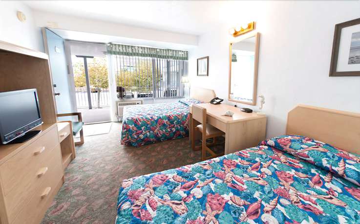 Imagen de la habitación del Hotel Sea Gull Motel. Foto 8