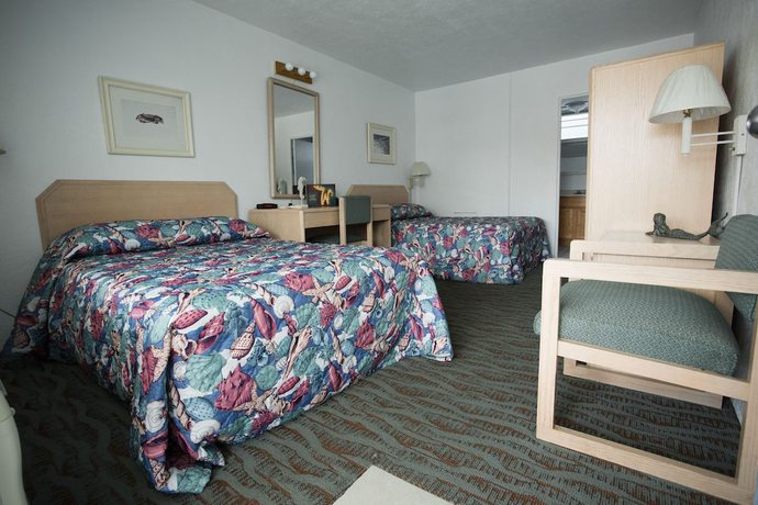Imagen de la habitación del Hotel Sea Gull Motel. Foto 9