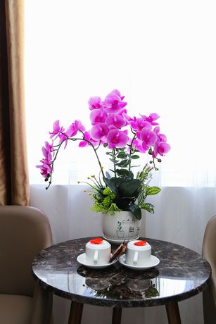 Imagen de la habitación del Hotel Sea Harmony, Quy Nhon. Foto 5
