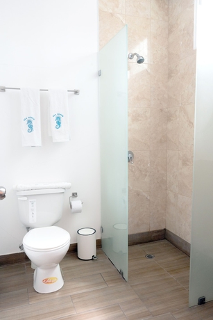 Imagen de la habitación del Hotel Sea Horse, Salinas. Foto 15