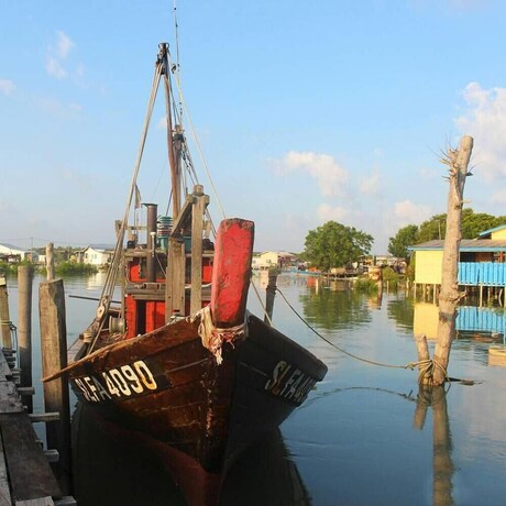 Imagen general del Hotel Sea Lion Pulau Ketam Bungalow Homestay. Foto 9