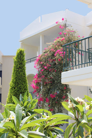 Imagen de la habitación del Hotel Sea Melody Beach and Apartments. Foto 5