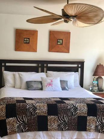 Imagen de la habitación del Hotel Sea Mountain Inn Nude Resort and Spa - Adults Only. Foto 1