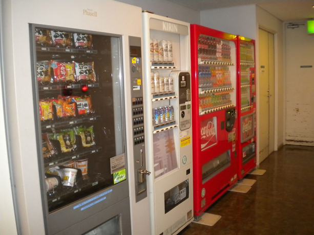 Imagen de los interiores del Hotel Sea Paradise Inn. Foto 18