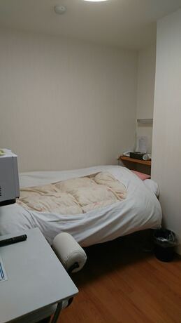 Imagen de la habitación del Hotel Sea Queen Kainan. Foto 15