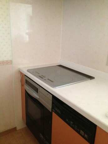 Imagen de la habitación del Hotel Sea Queen Kainan. Foto 18