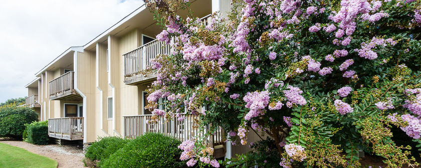 Imagen general del Hotel Sea Scape Beach and Golf Villas By Capital Vacations. Foto 5