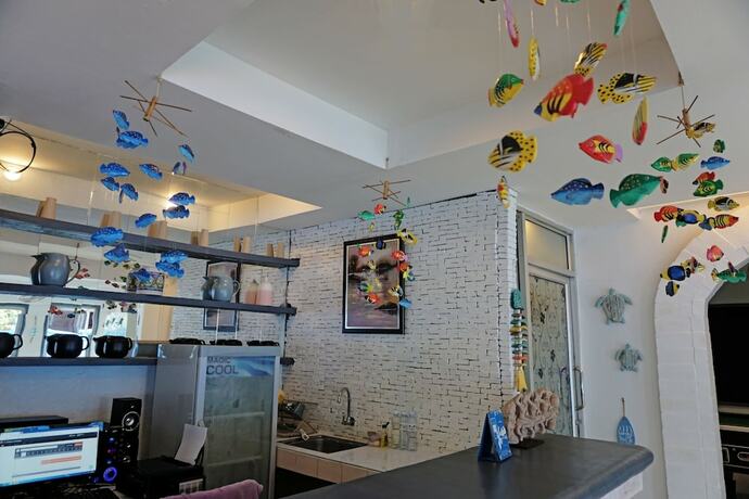Imagen general del Hotel Sea Turtle Hostel - Adults Only. Foto 5