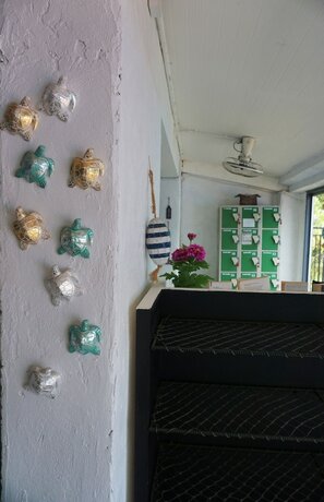 Imagen general del Hotel Sea Turtle Hostel - Adults Only. Foto 6