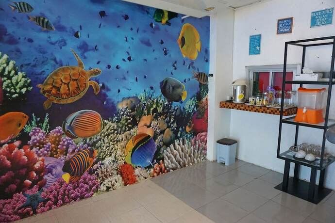 Imagen general del Hotel Sea Turtle Hostel - Adults Only. Foto 16