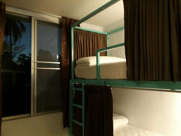 Imagen de la habitación del Hotel Sea Turtle Hostel - Adults Only. Foto 17