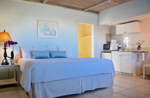 Imagen de la habitación del Hotel Sea Turtle Inn. Foto 1