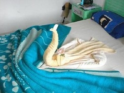 Imagen general del Hotel Sea View, Hurghada. Foto 2